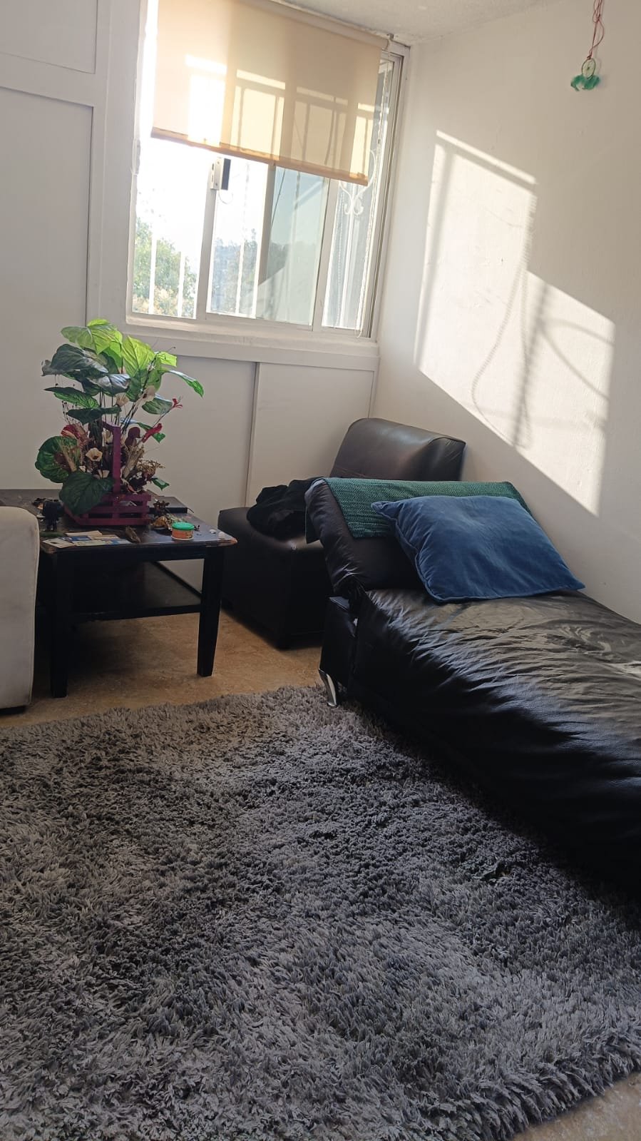 Imagen de WhatsApp 2025-03-25 a las 20.26.03_dbefa498